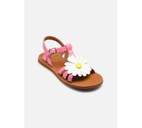 Sandales et nu-pieds Pom d Api Plagette Big Flo pour Enfant 28 Rose