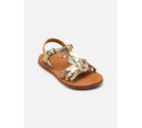 Sandales et nu-pieds Pom d Api Plagette Multi Daisy pour Enfant 34 Or et bronze