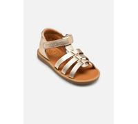 Sandales et nu-pieds Pom d Api POPPY STRAP pour 22 Or et bronze