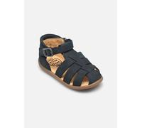 Sandales et nu-pieds Pom d Api Stand-Up Papy pour Enfant 25 Bleu