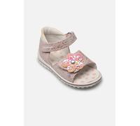 Sandales et nu-pieds Primigi Baby Sweet pour Enfant 20 Multicolore