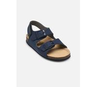 Sandales et nu-pieds Primigi BIRKY pour Enfant 26 Bleu