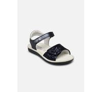 Sandales et nu-pieds Primigi PAL 38844 pour Enfant 27 Bleu