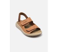 Sandales et nu-pieds Primigi Palmer F. Change pour Enfant 33 Marron