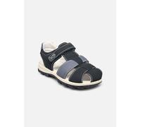 Sandales et nu-pieds Primigi PRA 38940 pour Enfant 31 Bleu
