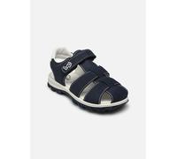 Sandales et nu-pieds Primigi Rafting pour Enfant 26 Bleu