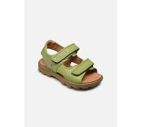 Sandales et nu-pieds Primigi Rafting pour Enfant 34 Vert