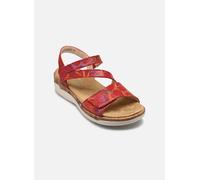 Sandales et nu-pieds Remonte R6860 pour Femme 41 Rouge