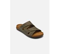 Sandales et nu-pieds Scholl Aberdeen 2 Straps Man Comfort pour Homme 42 Vert