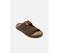 Sandales et nu-pieds Scholl Aberdeen Man Comfort pour Homme 41 Marron