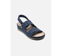 Sandales et nu-pieds Scholl ABERDEEN SANDAL COMFORT pour 37 Bleu