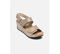 Sandales et nu-pieds Scholl ABERDEEN WEDGE SANDAL COMFORT pour 38 Beige