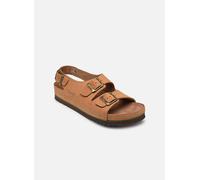 Sandales et nu-pieds Scholl AIR BAG BACK STRAP pour 41 Marron