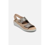 Sandales et nu-pieds Scholl ANTONIA SANDAL COMFORT pour Femme 40 Marron