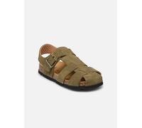 Sandales et nu-pieds Scholl BAT COLLECTION pour Enfant 32 Vert