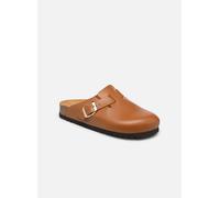 Sandales et nu-pieds Scholl FAE COLLECTION pour Femme 36 Marron