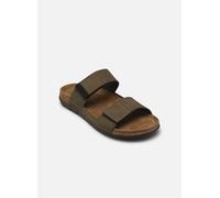 Sandales et nu-pieds Scholl Gregor Comfort pour Homme 42 Vert