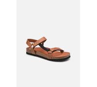 Sandales et nu-pieds Scholl Heaven Ad Comfort M pour Homme 45 Marron