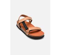 Sandales et nu-pieds Scholl Heaven Ad Comfort W pour Femme 39 Marron