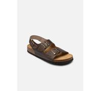 Scholl HENRI Leather Coffee