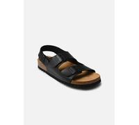 Sandales et nu-pieds Scholl HENRI COLLECTION pour Homme 43 Noir