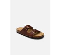 Sandales et nu-pieds Scholl JULIEN COLLECTION pour Homme 41 Marron