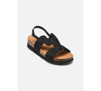 Sandales et nu-pieds Scholl Mallorca Sandal comfort pour Femme 40 Noir