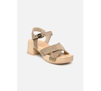 Sandales femmes Scholl PESCURA CATE Beige 40