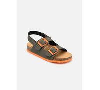 Sandales et nu-pieds Scholl TURTLE COLLECTION pour Enfant 24 Vert