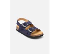 Sandales et nu-pieds Scholl TURTLE COLLECTION pour Enfant 25 Bleu