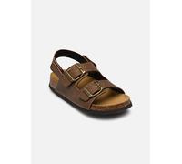 Sandales et nu-pieds Scholl TURTLE COLLECTION pour Enfant 30 Marron