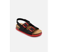 Sandales et nu-pieds Scholl TURTLE COLLECTION pour Enfant 30 Noir