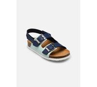 Sandales Et Nu-Pieds Scholl Turtle Collection Pour Enfant - 35 Bleu