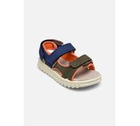 Sandales et nu-pieds Shoo Pom Rolly Boy Scratch pour Enfant 29 Multicolore