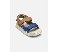 Sandales et nu-pieds Shoo Pom Rolly Boy Scratch pour Enfant 29 Multicolore