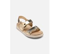 Sandales et nu-pieds Steve Madden Mona pour 36 Or et bronze