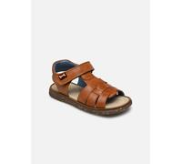 Sandales et nu-pieds Stones and Bones Corse pour Enfant 24 Marron