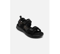Sandales et nu-pieds TBS Jaimmye pour Homme 41 Noir