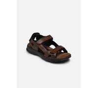 Sandales et nu-pieds TBS Johalin pour 44 Marron