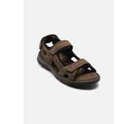 Sandales et nu-pieds TBS Johalin pour Homme 40 Marron