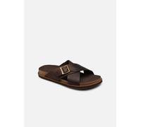 Sandales et nu-pieds Timberland Amalfi Vibes Cross Slide pour Homme 45 Marron