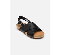 Sandales et nu-pieds Timberland BACKSTRAP SANDAL pour Femme 37 Noir