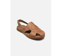 Sandales et nu-pieds Timberland BACKSTRAP SANDAL pour Femme 38 Marron