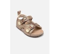 Sandales et nu-pieds Timberland CASTLE ISLAND BACKSTRAP SANDAL B pour 22 Rose