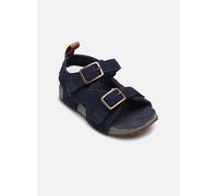 Timberland Castle Island Backstrap Toddler Sandals Bleu EU 27 Enfants