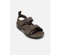 Sandales et nu-pieds Timberland CASTLE ISLAND BACKSTRAP SANDAL C pour Enfant 31 Gris