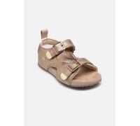 Timberland Castle Island Backstrap Youth Sandals Doré EU 32 Enfants