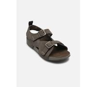 Timberland Castle Island Backstrap Junior Sandals Marron EU 36