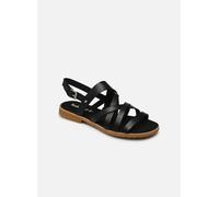 Sandales et nu-pieds Timberland ChicagoRiverside Multi pour Femme 36 Noir