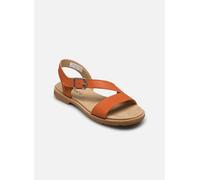 Sandales et nu-pieds Timberland CLBY BACKSTRAP SANDAL MDORN pour Femme 36 Orange
